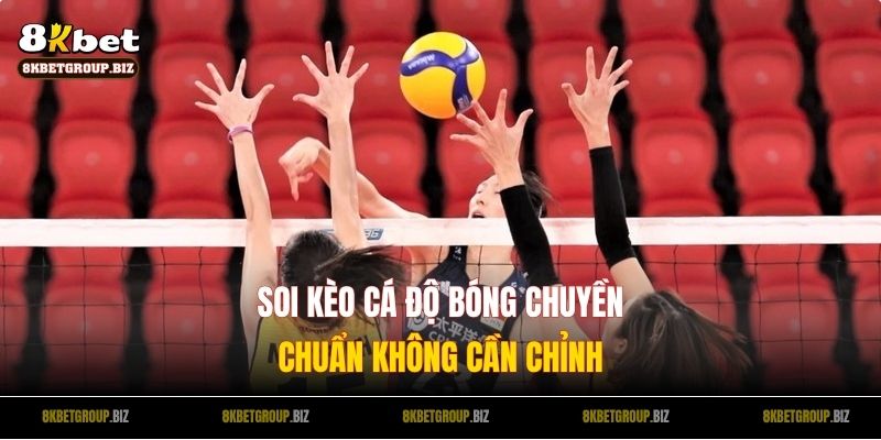 Soi kèo cá cược bóng chuyền chuẩn không cần chỉnh