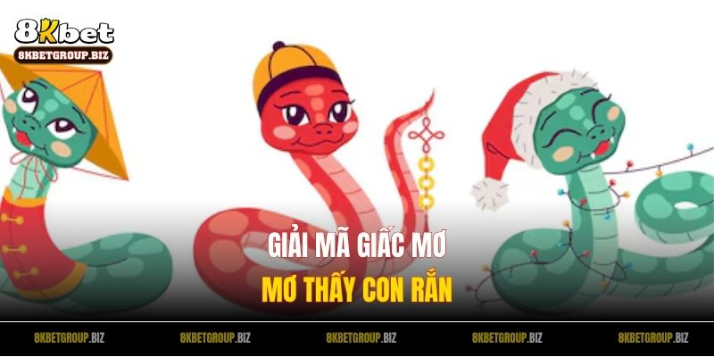 Con Rắn Số Gì? Giải Mã Giấc Mơ Thấy Rắn Và Dự Đoán Số Đề