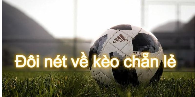 Giải mã kèo chẵn lẻ là gì trước khi xuống tiền cược