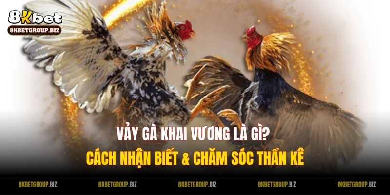 Vảy Gà Khai Vương Là Gì? Cách Nhận Biết & Chăm Sóc Thần Kê