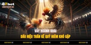 Vảy Hoành Khai: Dấu Hiệu Thần Kê Quý Hiếm Khó Gặp