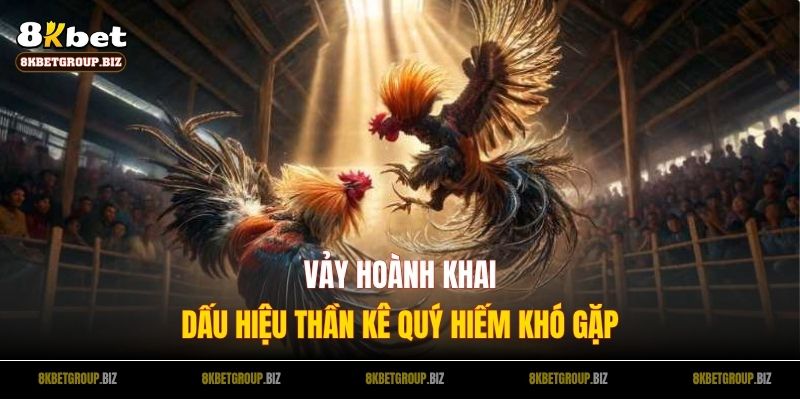 Vảy Hoành Khai: Dấu Hiệu Thần Kê Quý Hiếm Khó Gặp