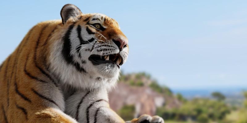 Ý nghĩa chung khi mơ thấy hổ và con hổ số gì liên quan